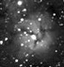 M020